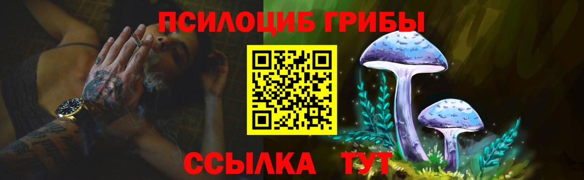 Псилоцибиновые грибы Magic Shrooms Прохладный